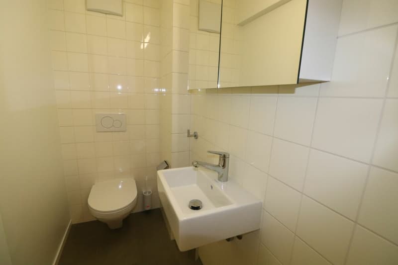 Zwischen Novartis Campus und Kannenfeldpark - moderne 3-Zimmerwohnung in Basel zu vermieten (10)
