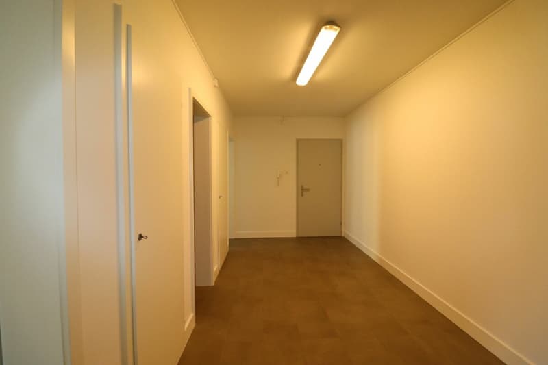 Zwischen Novartis Campus und Kannenfeldpark - moderne 3-Zimmerwohnung in Basel zu vermieten (4)