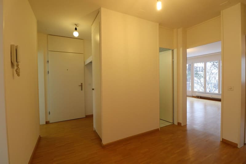 Nähe Gartenbad Eglisee und Lange Erlen - gemütliche 4-Zimmerwohnung im 1.OG (2)