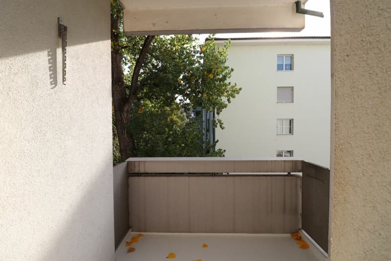 Zwischen Gartenbad Bachgraben und Kannenfeldpark - gemütliche 3-Zimmer-Wohnung im 3.OG (4)