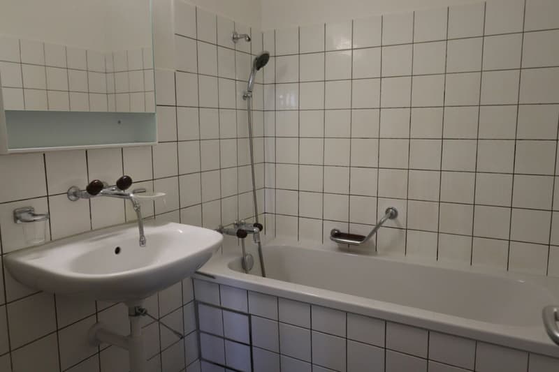 Zwischen Hallenbad und Birsig - schöne 3-Zimmer-Wohnung in Binningen (10)