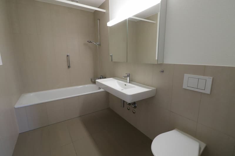 Nähe Gartenstadt, Münchenstein - moderne 3 1/2-Zimmerwohnung im 4.OG (9)