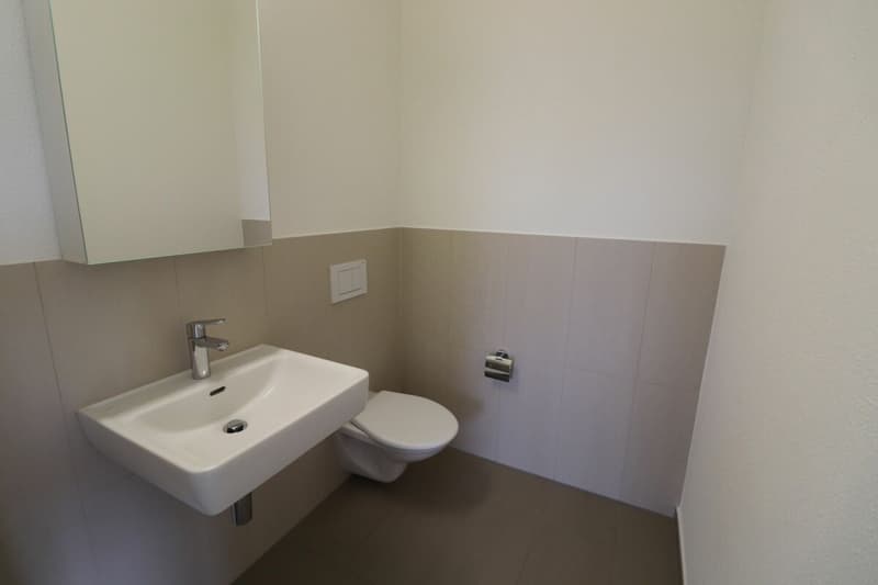 Nähe Gartenstadt, Münchenstein - moderne 3 1/2-Zimmerwohnung im 4.OG (10)