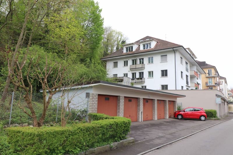 Zwischen Bahnhof SBB und Bruderholz - moderne 3 1 /2-Zimmerwohnung im 1.OG (1)