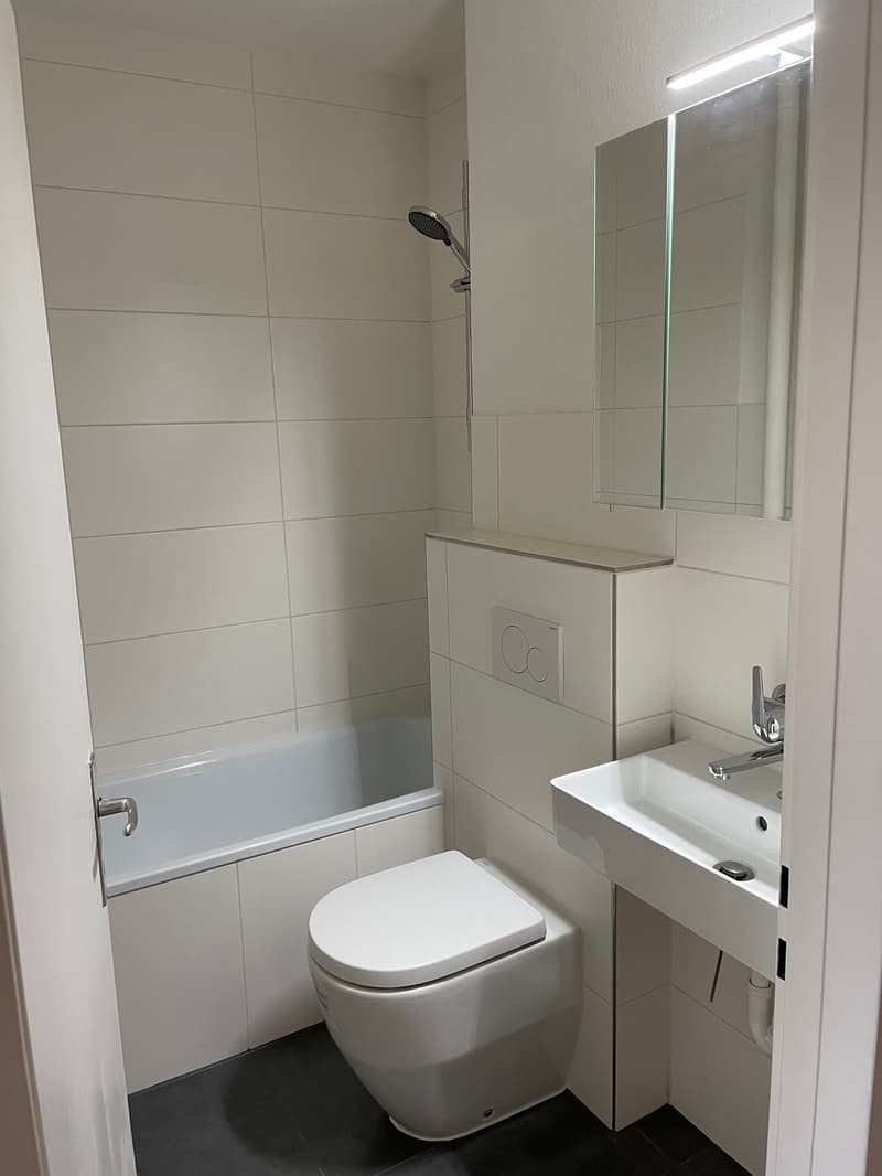 Moderne 3-Zimmer-Wohnung in zentraler Lage (Kleinbasel, Nähe Messeplatz) (3)