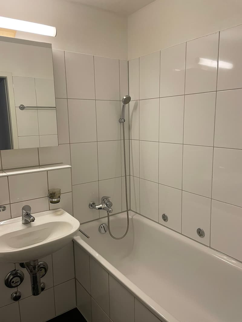 5-Zimmerwohnung in Reinach (5)