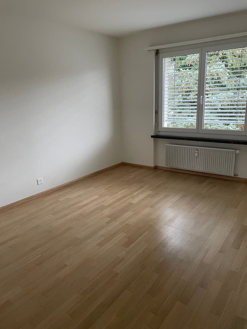 5-Zimmerwohnung in Reinach (4)