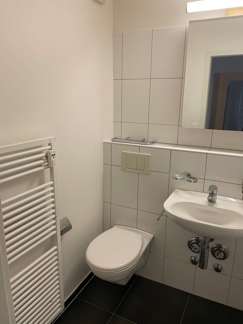 5-Zimmerwohnung in Reinach (6)