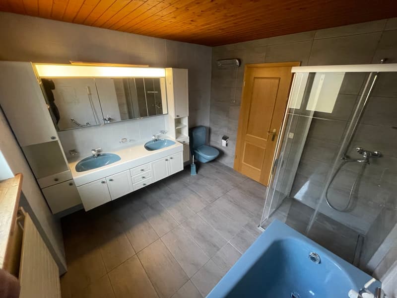 Rustikales Einfamilienhaus für Naturliebhaber, Selbstversorger und Kreative! (6)