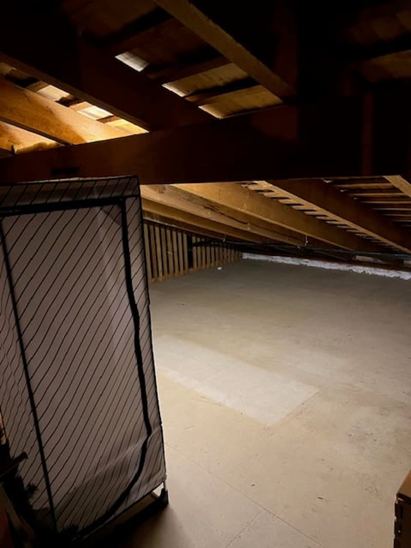 kompakte 4.5-Zimmerwohnung mit Balkon, Bastelraum + Garage (11)