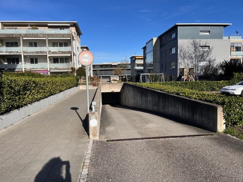 sonnige 4.5-Zimmer-Attikawohnung mit Einstellhallenplatz (13)