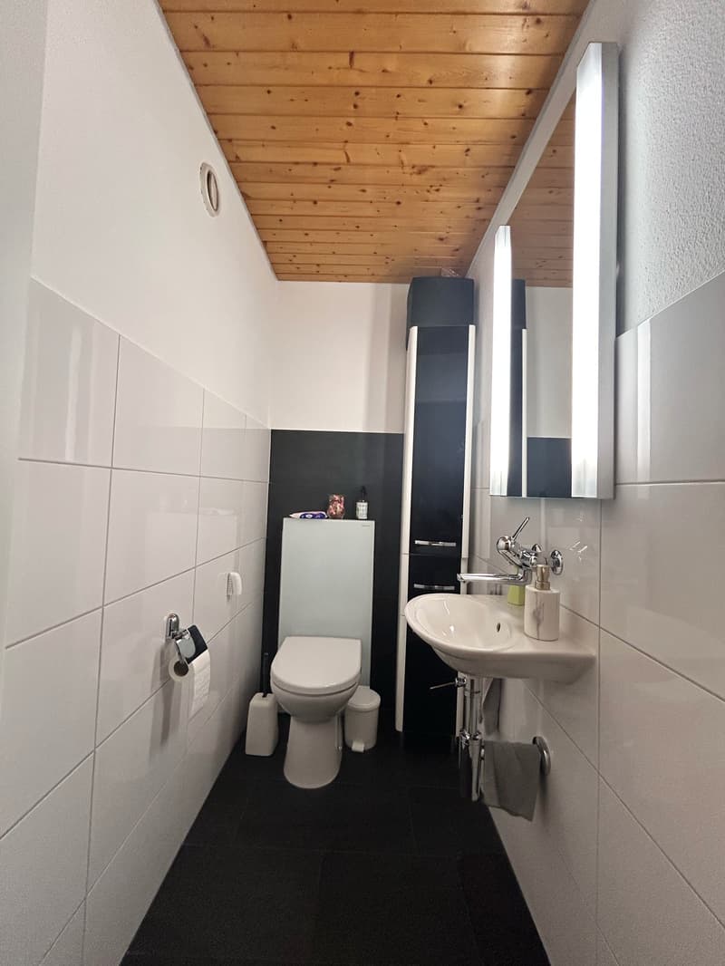 Charmante 2.5-Zimmer-Dachwohnung mit Garage (5)