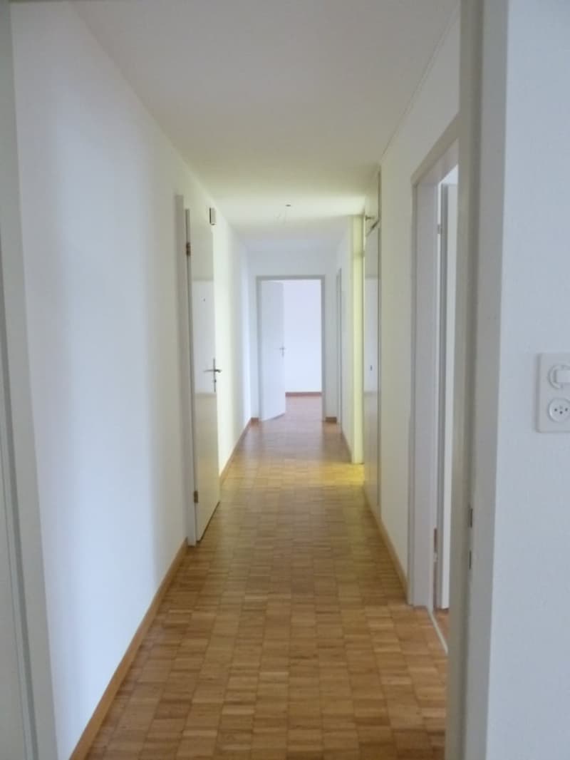 Empty corridor, wooden floor, white walls, power outlets, two doors