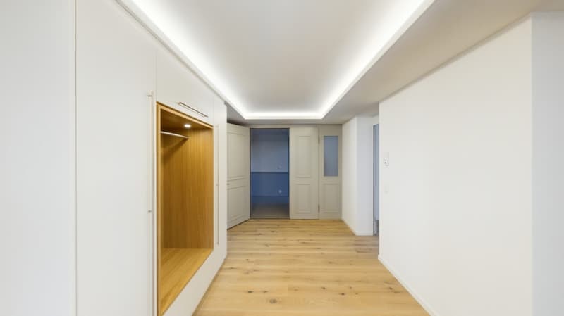 Moderne 5.5-Zimmer-Wohnung im Herzen von St. Gallen (3)