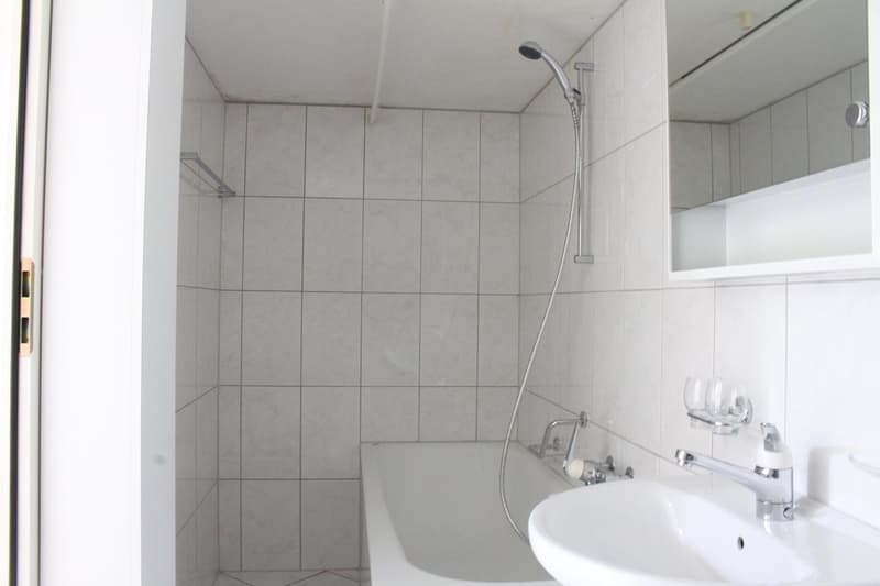 Charmante 1-Zimmer-Wohnung für Singles (4)