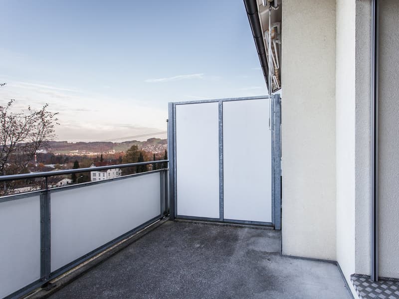Helle und praktische 3-Zimmer-Wohnung (9)