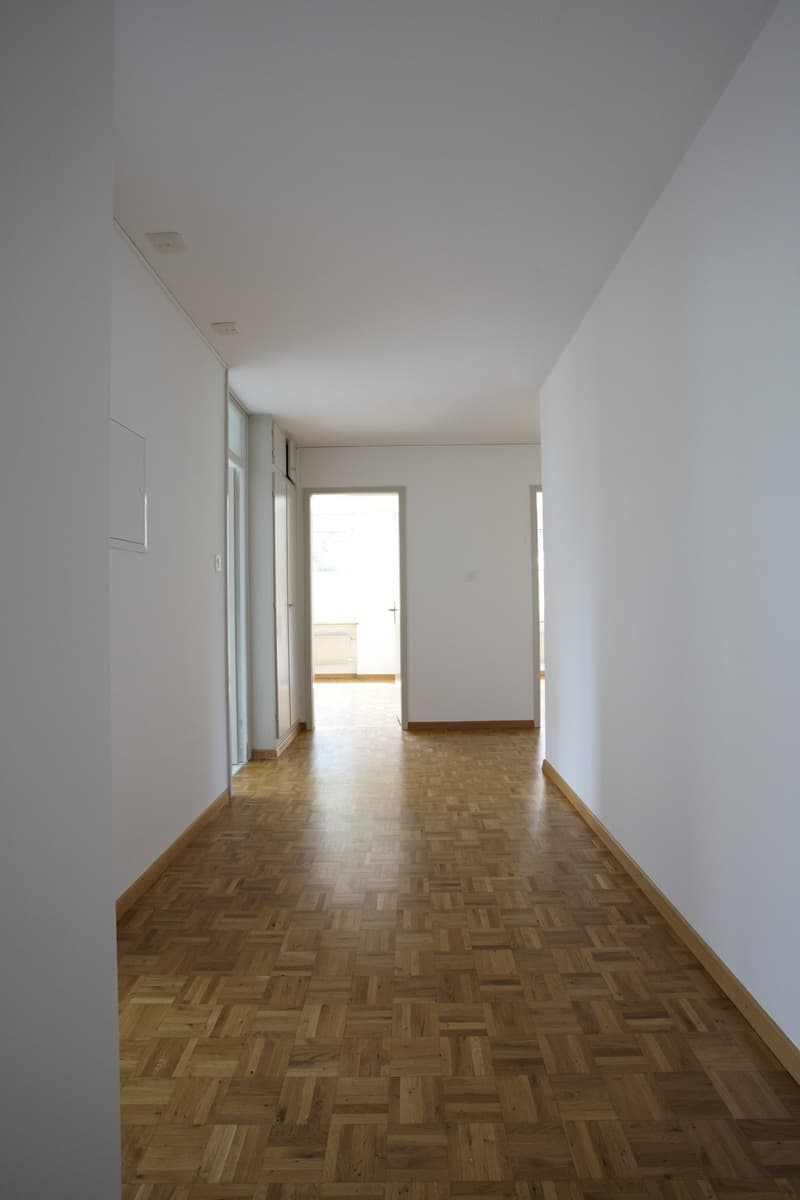 Neu sanierte 4-Zimmer-Wohnung mit Balkon in St. Gallen (10)