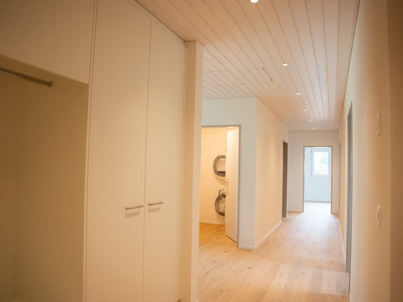 New Build - 4.5-Room Attic Apartment (3)