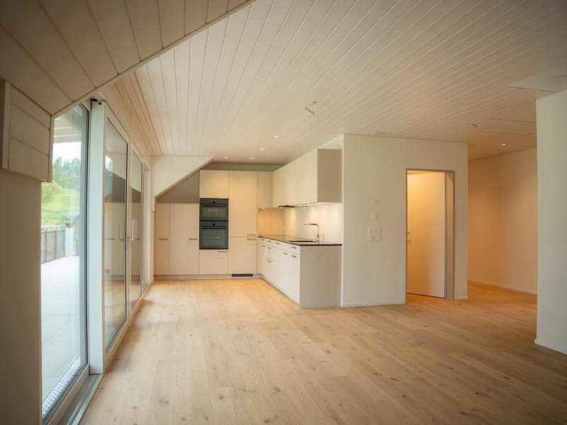 New Build - 4.5-Room Attic Apartment (2)