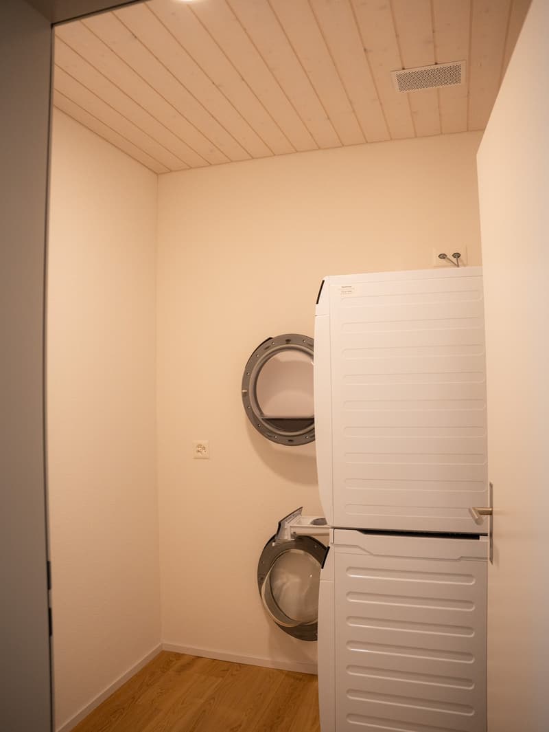 New Build - 4.5-Room Attic Apartment (6)