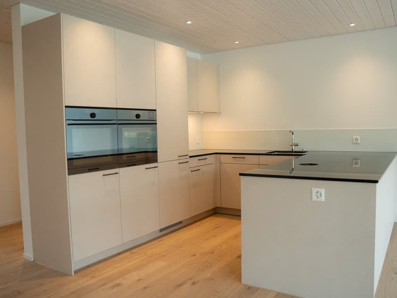 NEUBAU - helle 3½-Zimmer-Dachwohnung (2)