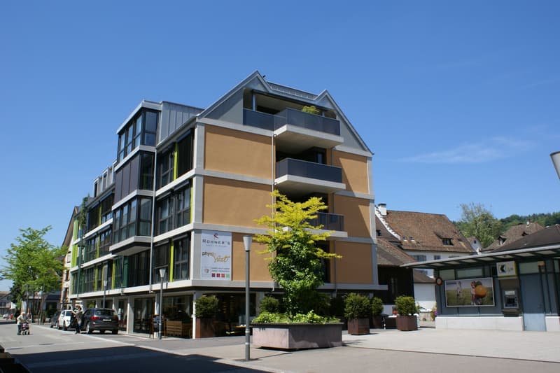 zentrale und moderne 4.5-Zimmer-Wohnung (3)