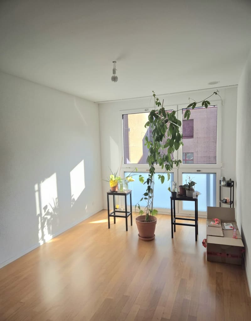 zentrale und moderne 4.5-Zimmer-Wohnung (4)