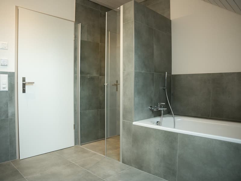 Neue, sonnige Attika-Wohnung mit hochwertigem Ausbaustandart (9)