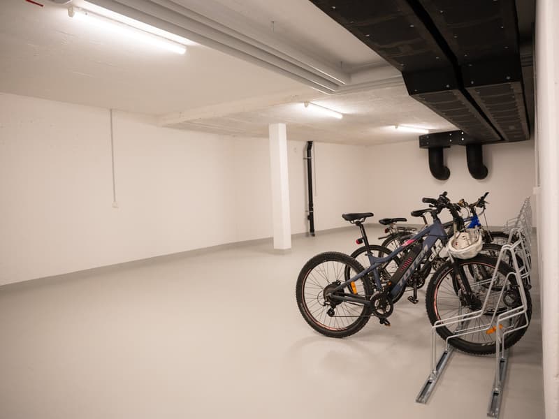 Neue, sonnige Attika-Wohnung mit hochwertigem Ausbaustandart (15)