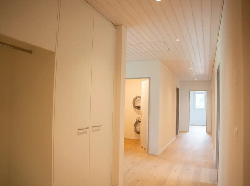 Neue, sonnige Attika-Wohnung mit hochwertigem Ausbaustandart (5)