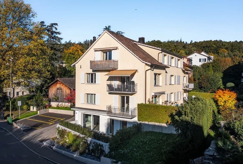3-Zimmer-Wohnung mit Gartensitzplatz (2)