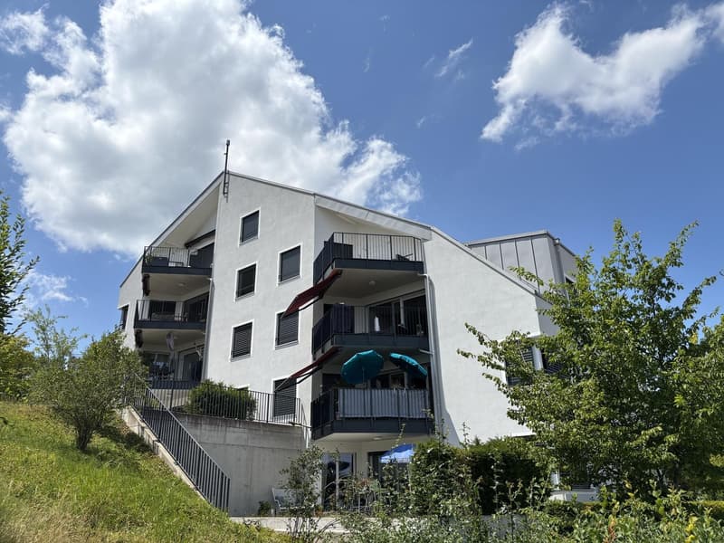 2-Zimmer-Wohnung mit Gartensitzplatz und Weitsicht (1)