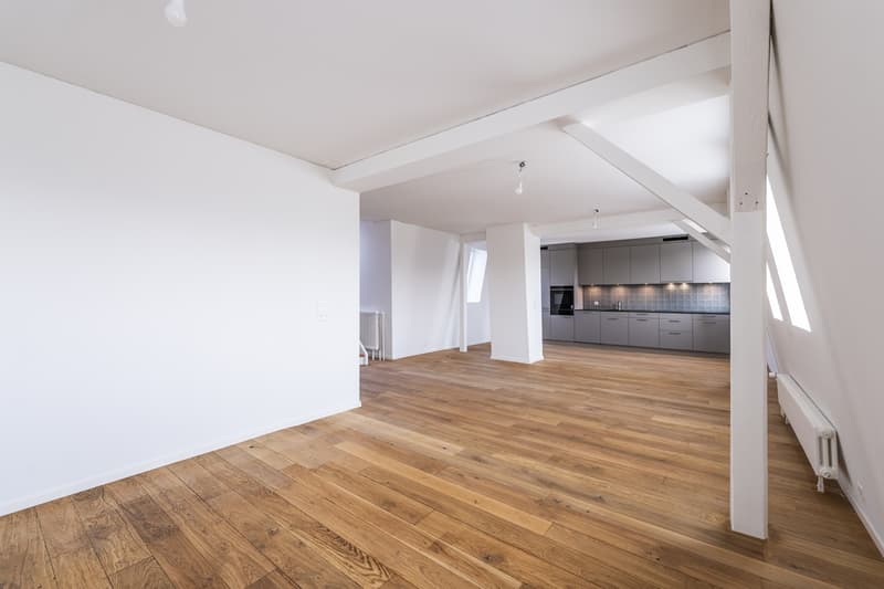 Erstbezug! Traumhafte 2-Zimmer-Wohnung im Kreis 3 mit exklusiver Dachterrasse (2)