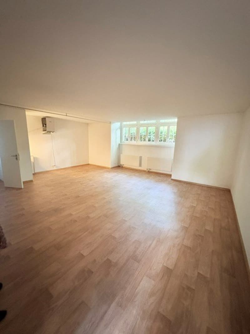 Vielseitig nutzbare Fläche für Gewerbe oder Hobby im sousol (2)