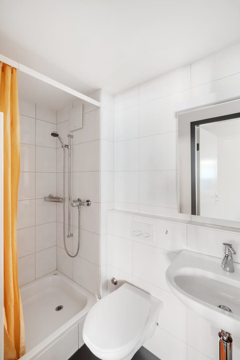 möbliertes Appartement in der Altstadt in Winterthur (10)