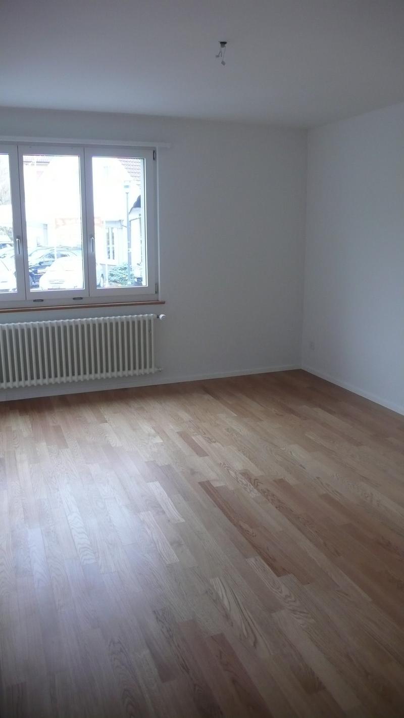Wohnung in Sihlnähe (3)