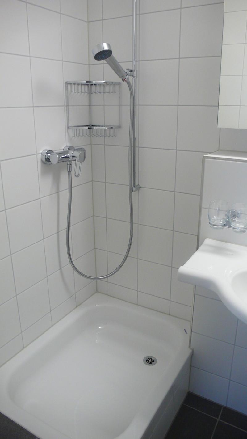 Wohnung in Sihlnähe (5)