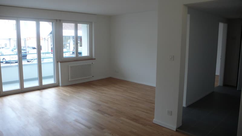 Wohnung in Sihlnähe (4)