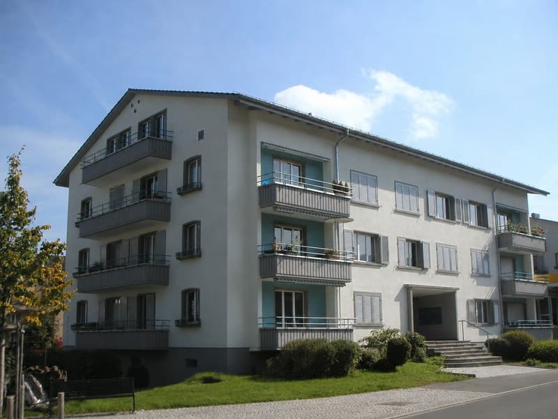 Wohnung in Sihlnähe (1)