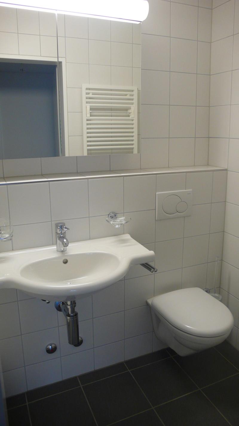 Wohnung in Sihlnähe (6)