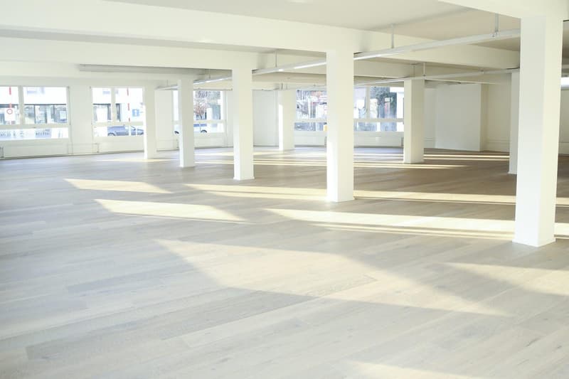 252 m2 moderne, offene Gewerbe-/Bürofläche (5)