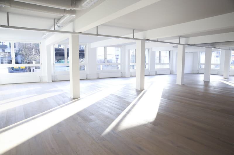 252 m2 moderne, offene Gewerbe-/Bürofläche (7)