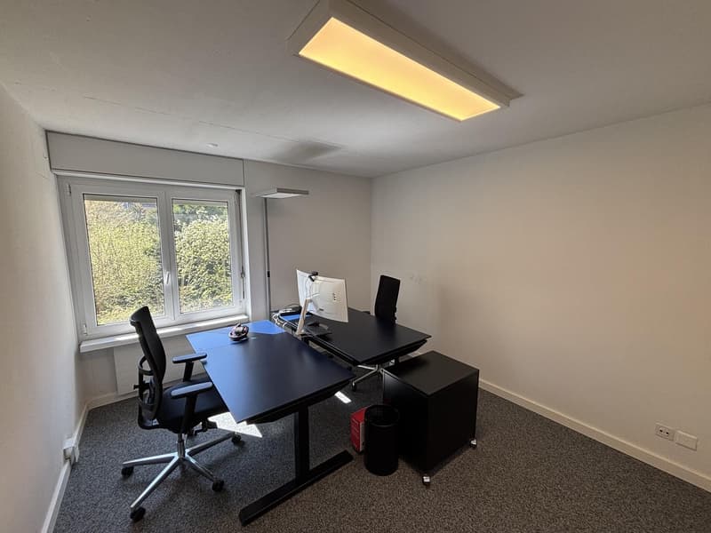 Grosszügige Büro-/Praxisräume unweit vom Hegibachplatz (4)