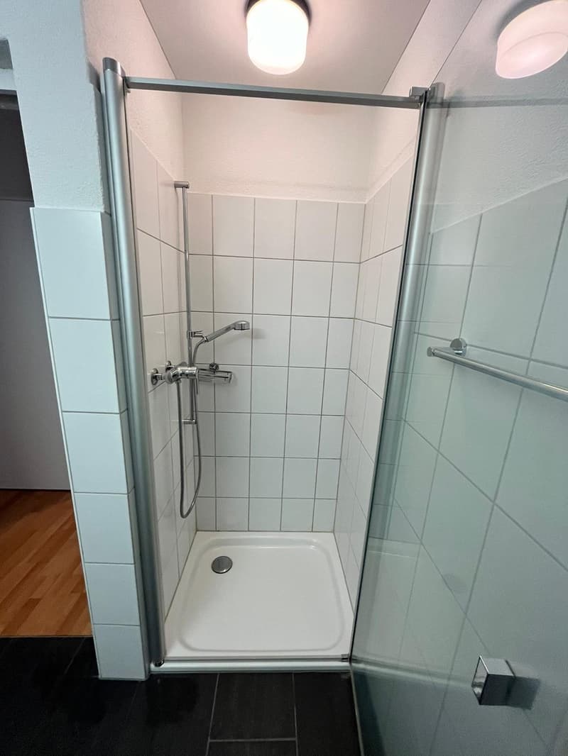 Moderne 4.5-Zimmer-Wohnung mit Terrasse (12)