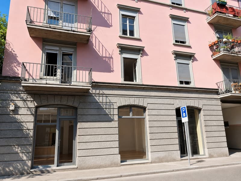 Frisch-Renovierte Gewerbe-/Atelier-/Bürofläche im Kreis 4 (5)