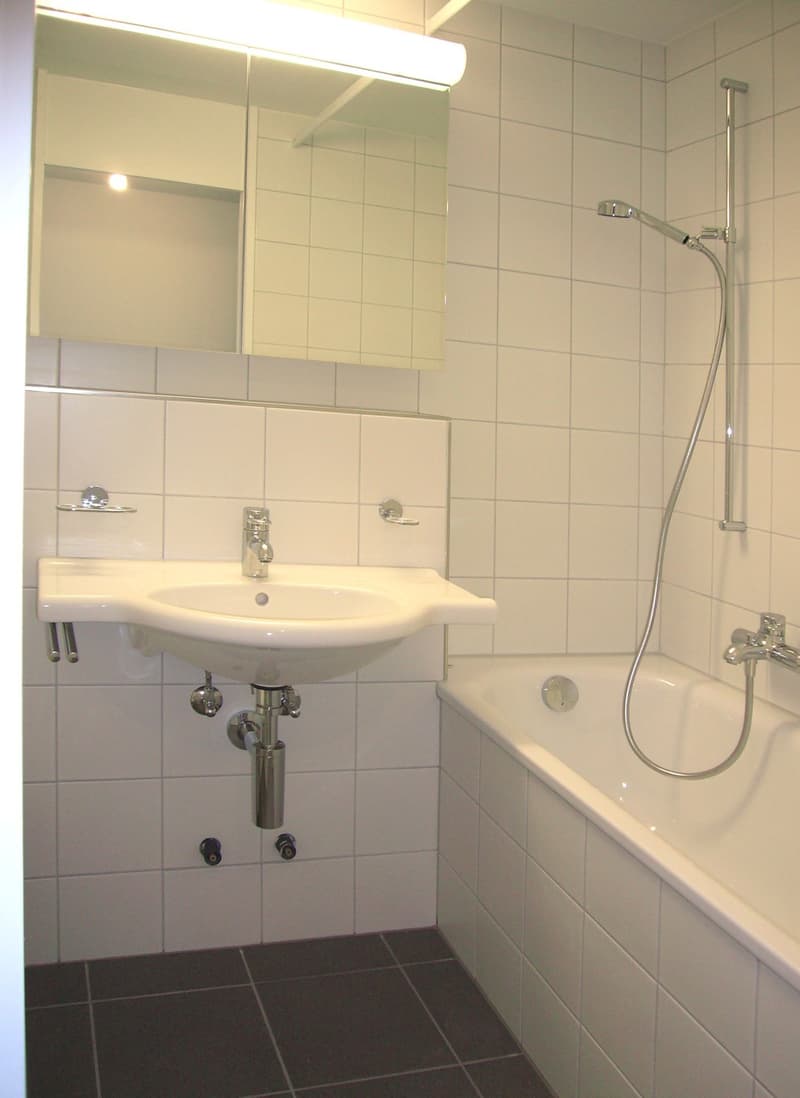 Ihre neue Wohnung in Sihlnähe (6)