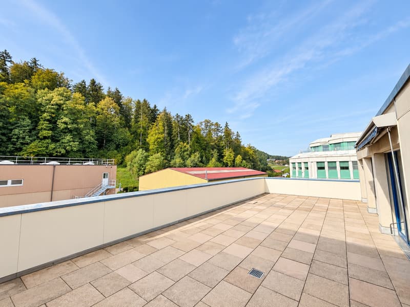 Grosszügige 3½-Zimmer-Wohnung mit 71 m² Terrasse ins Grüne (11)