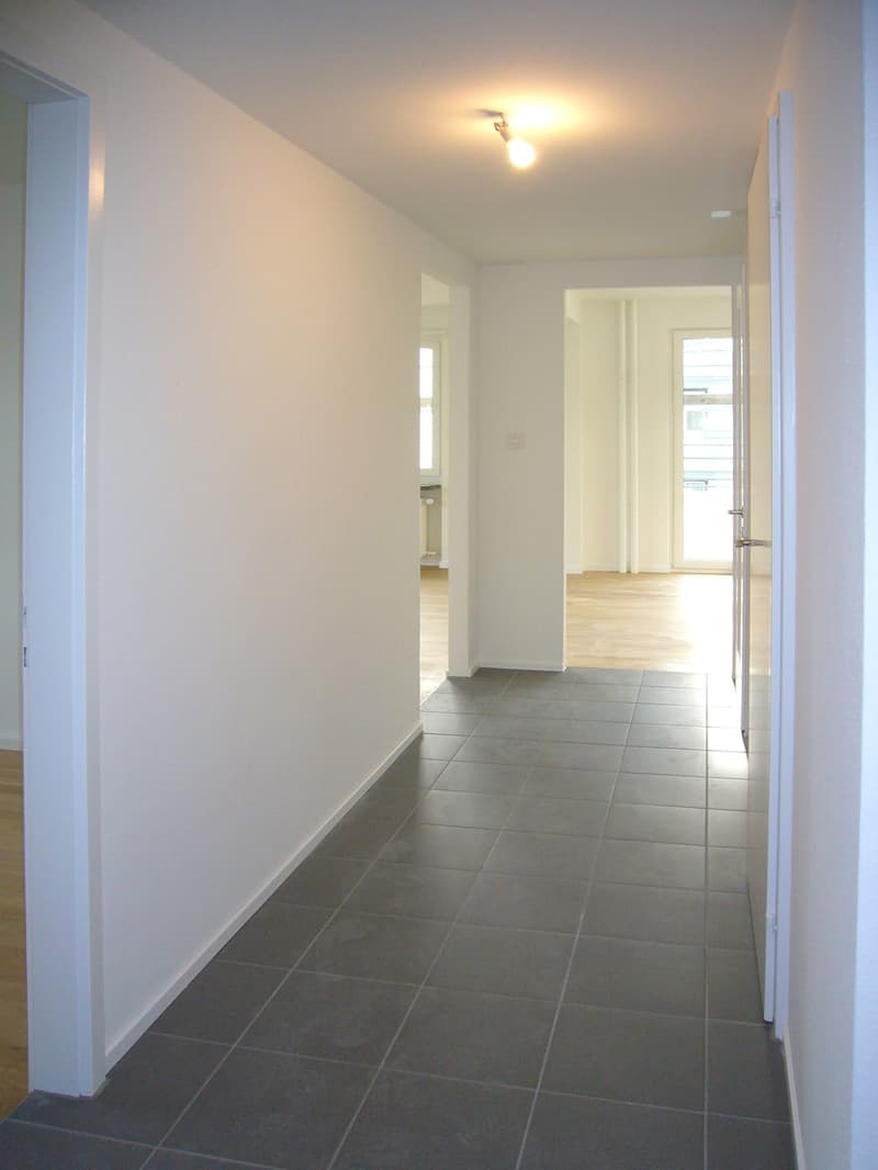 Ihre neue Wohnung in Sihlnähe (3)