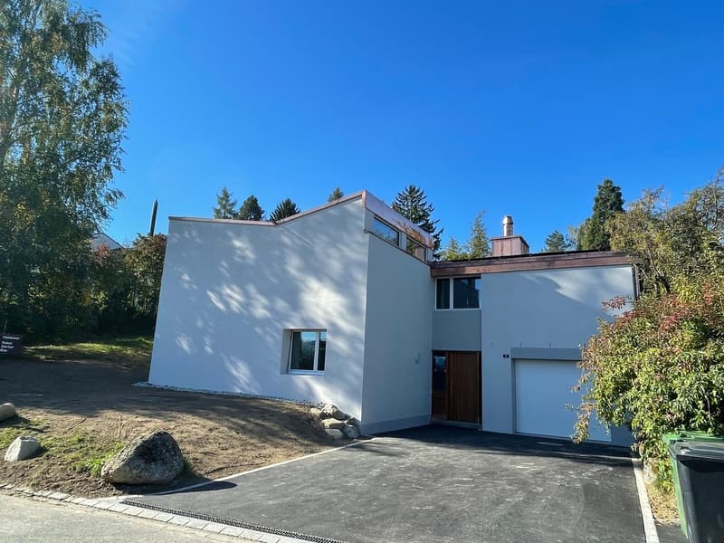 Einzigartiges Einfamilienhaus am Zürichberg (2)