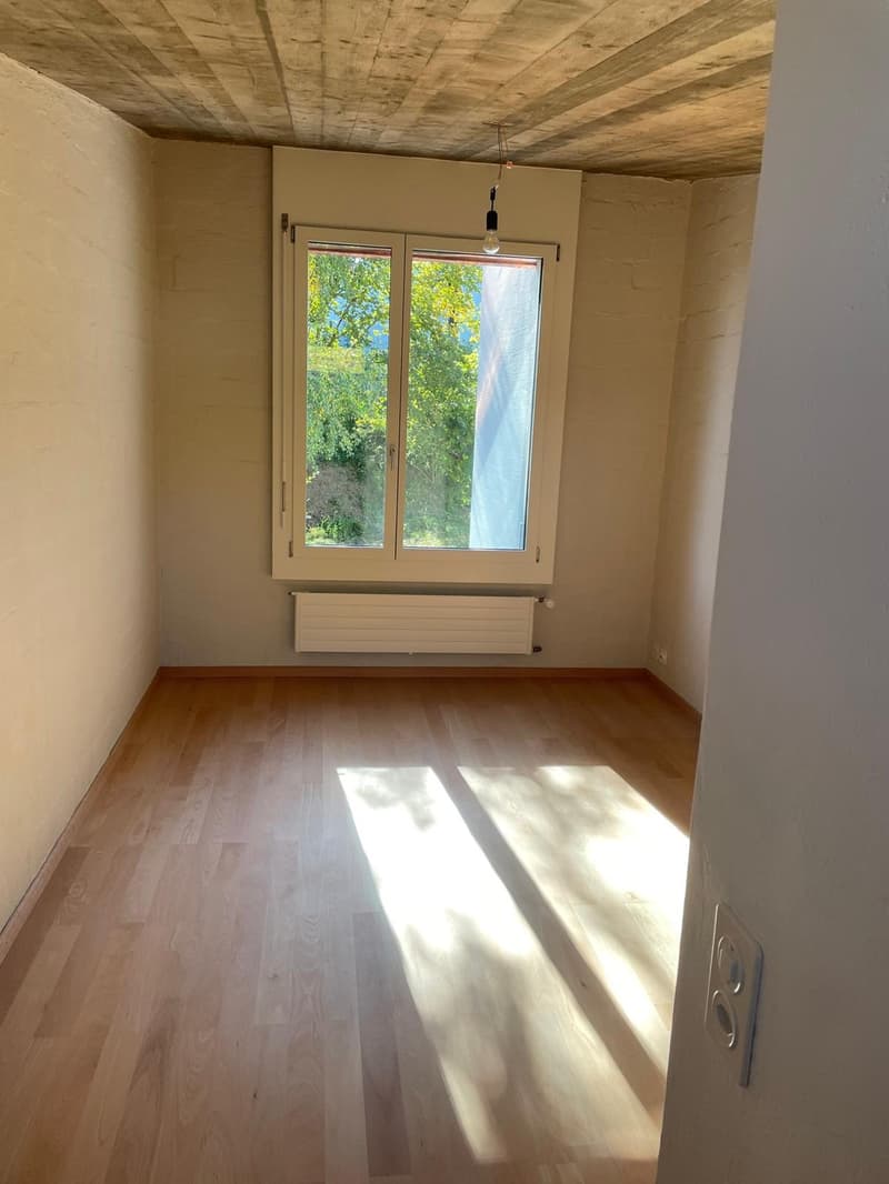 Einzigartiges Einfamilienhaus am Zürichberg (6)
